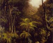 Brazilian Forest - 马丁·约翰逊·赫德